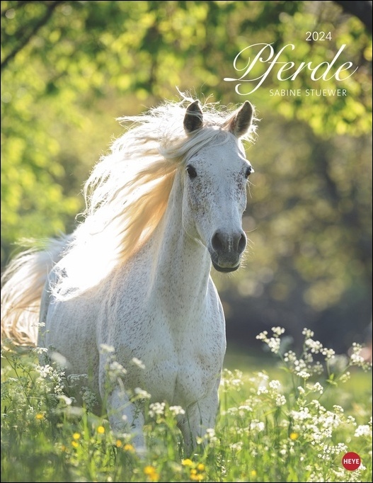 Pferde Classics Posterkalender 2024. Die Eleganz der Tiere in einem Kalender im Posterformat eingefangen von Sabine Stuewer. Hochwertiger Fotokalender für Pferdefreunde.