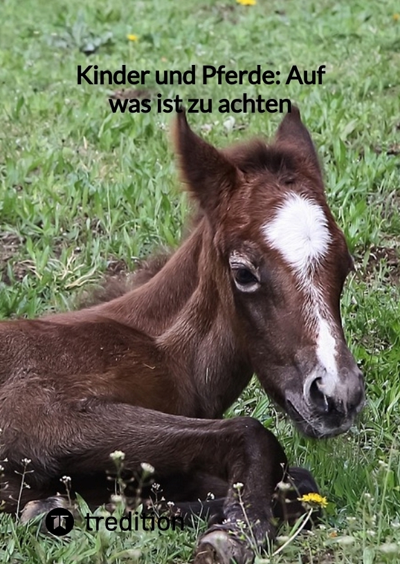 Kinder und Pferde: Auf was ist zu achten