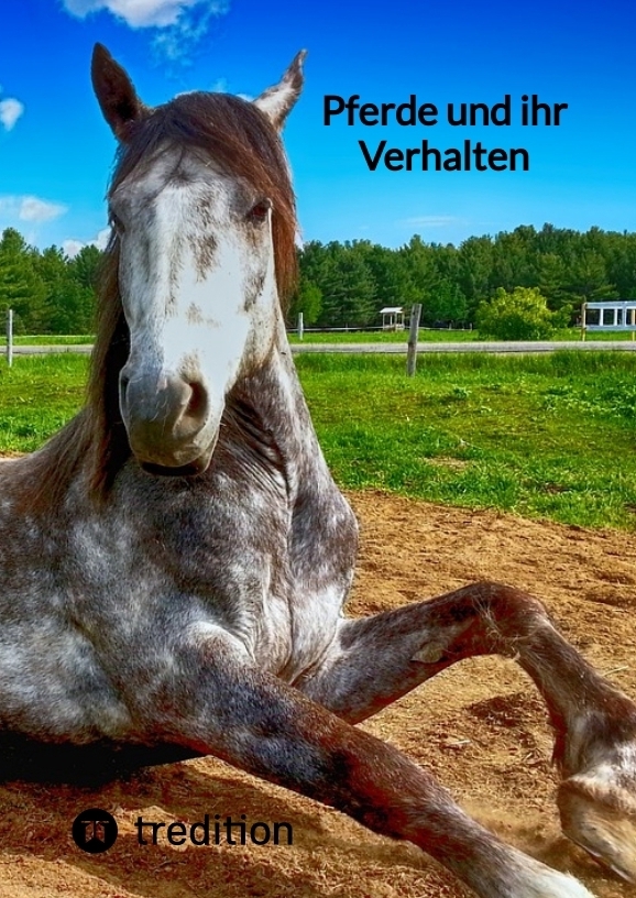 Pferde und ihr Verhalten