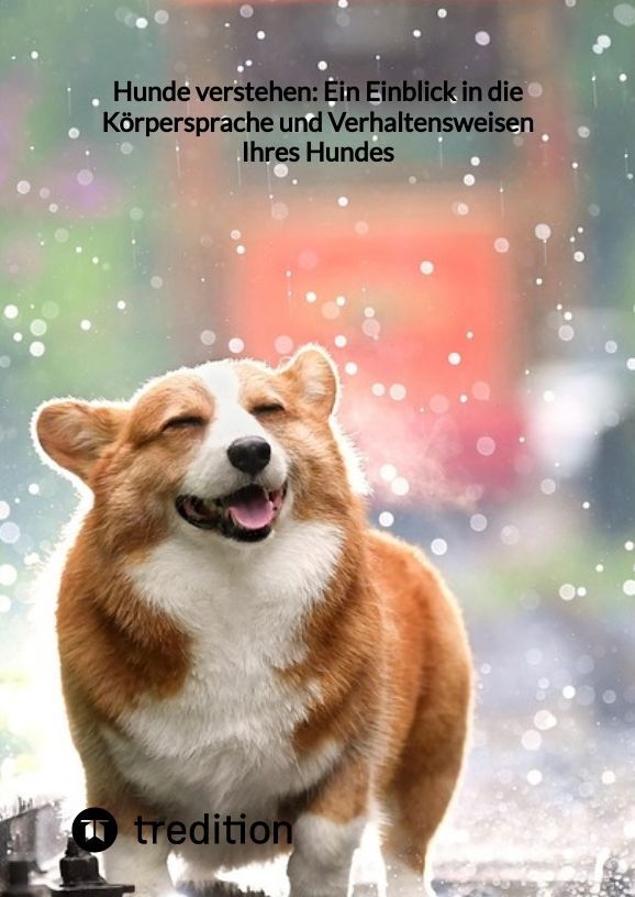 Hunde verstehen: Ein Einblick in die Körpersprache und Verhaltensweisen Ihres Hundes