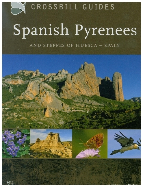 Spanish Pyrenees