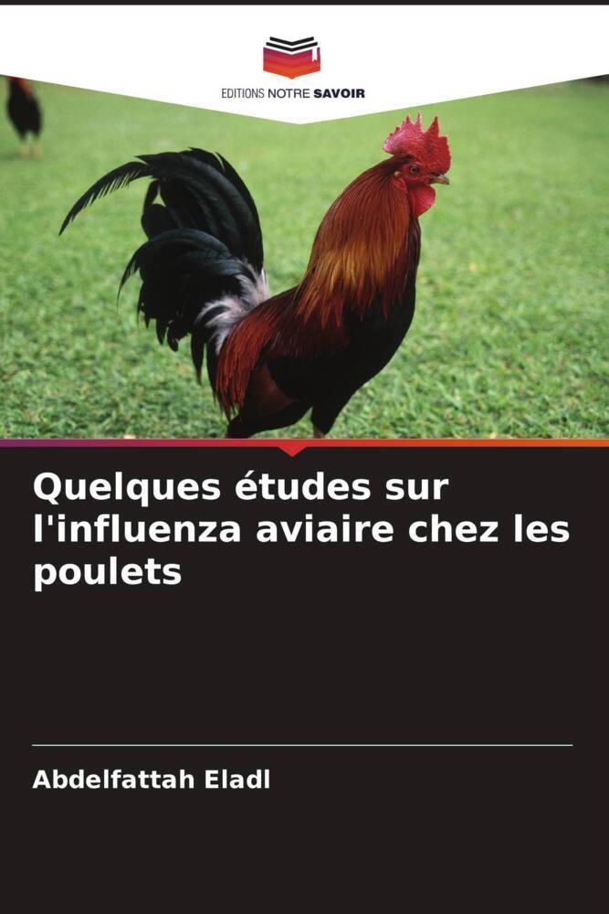Quelques études sur l'influenza aviaire chez les poulets
