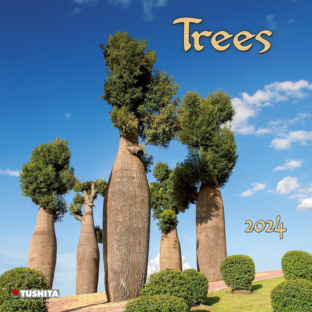 Trees  2024