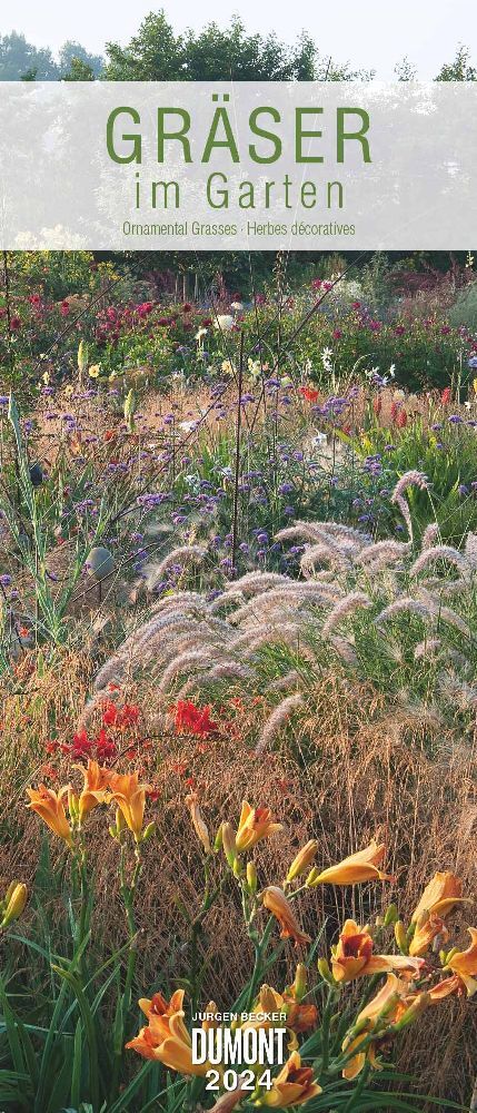 Kal. 2024 Gräser im Garten