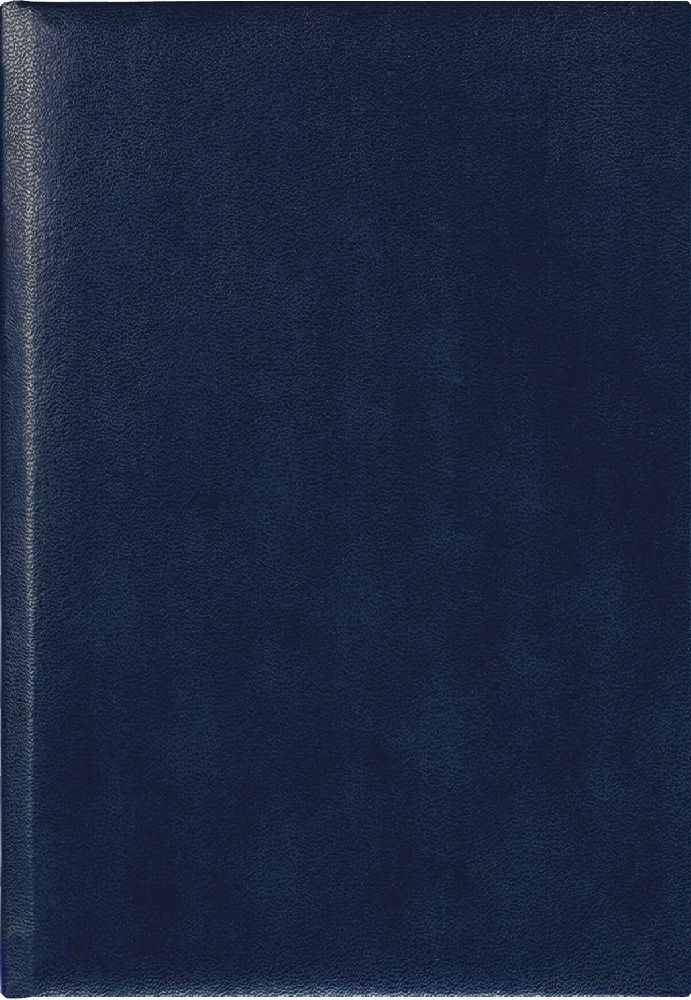 Buchkalender blau 2024 - Bürokalender 14,5x21 cm - 7 Tage auf 6 Seiten - wattierter Kunststoffeinband - Stundeneinteilung 7 - 19 Uhr - 873-0015