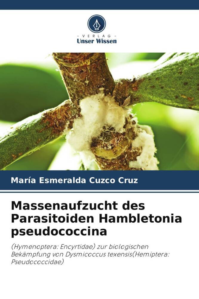 Massenaufzucht des Parasitoiden Hambletonia pseudococcina
