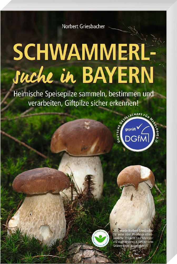 Schwammerlsuche in Bayern
