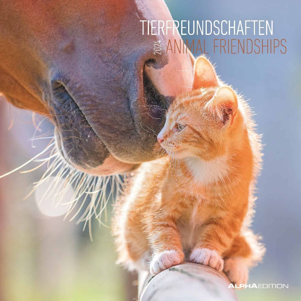Tierfreundschaften 2024 - Broschürenkalender 30x30 cm (30x60 geöffnet) - Kalender mit Platz für Notizen - Animal Friendships - Bildkalender - Planer
