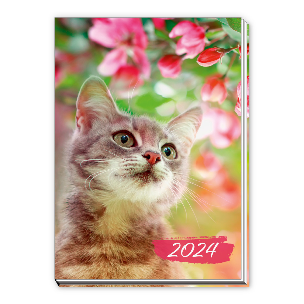 Trötsch Taschenkalender A7 Katze 2024