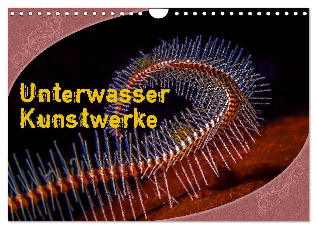 Unterwasser Kunstwerke (Wandkalender 2024 DIN A4 quer), CALVENDO Monatskalender