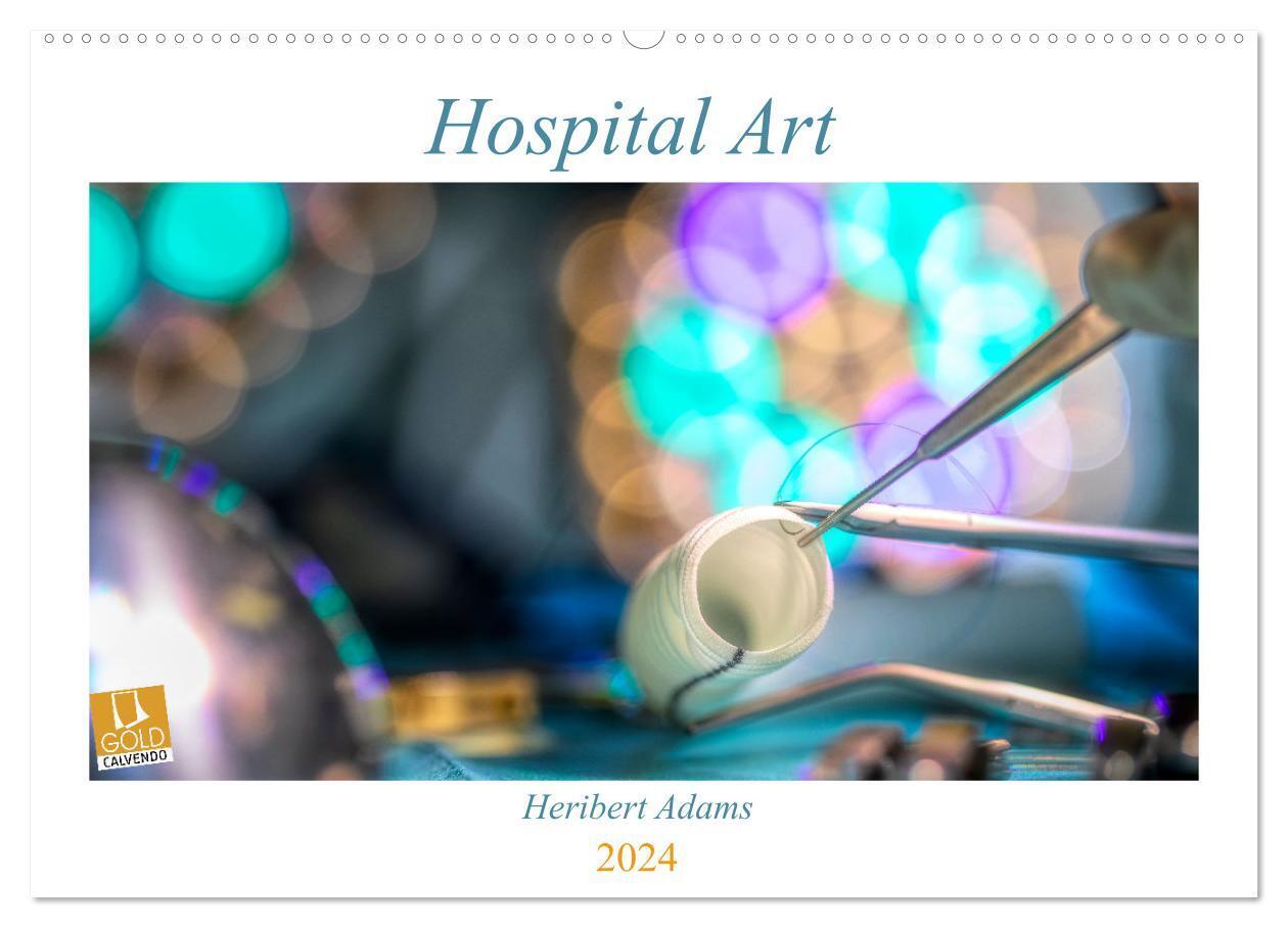 Hospital Art (Wandkalender 2024 DIN A2 quer), CALVENDO Monatskalender