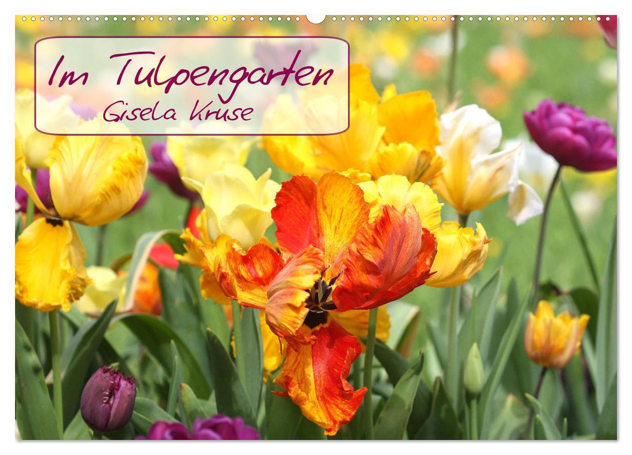 Im Tulpengarten (Wandkalender 2024 DIN A2 quer), CALVENDO Monatskalender