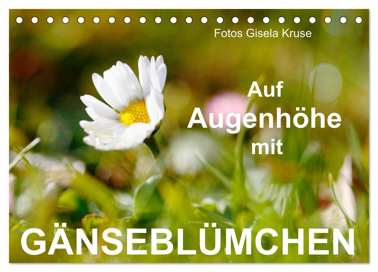 Auf Augenhöhe mit Gänseblümchen (Tischkalender 2024 DIN A5 quer), CALVENDO Monatskalender