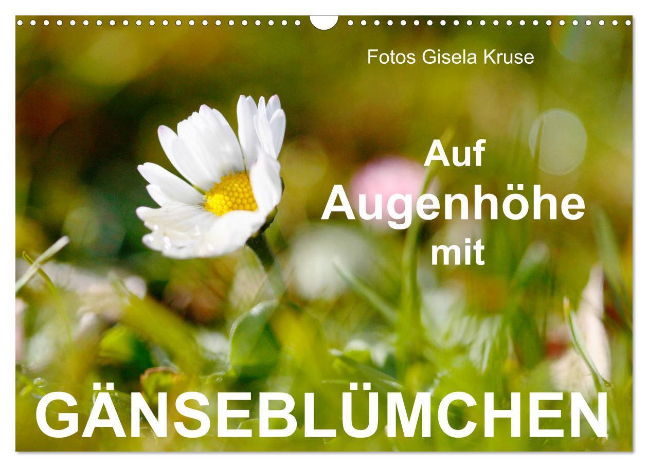 Auf Augenhöhe mit Gänseblümchen (Wandkalender 2024 DIN A3 quer), CALVENDO Monatskalender