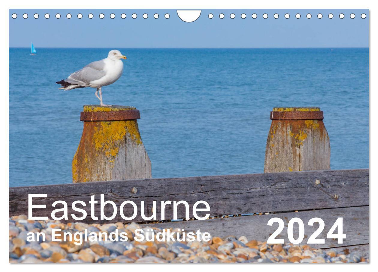 Eastbourne an Englands Südküste (Wandkalender 2024 DIN A4 quer), CALVENDO Monatskalender