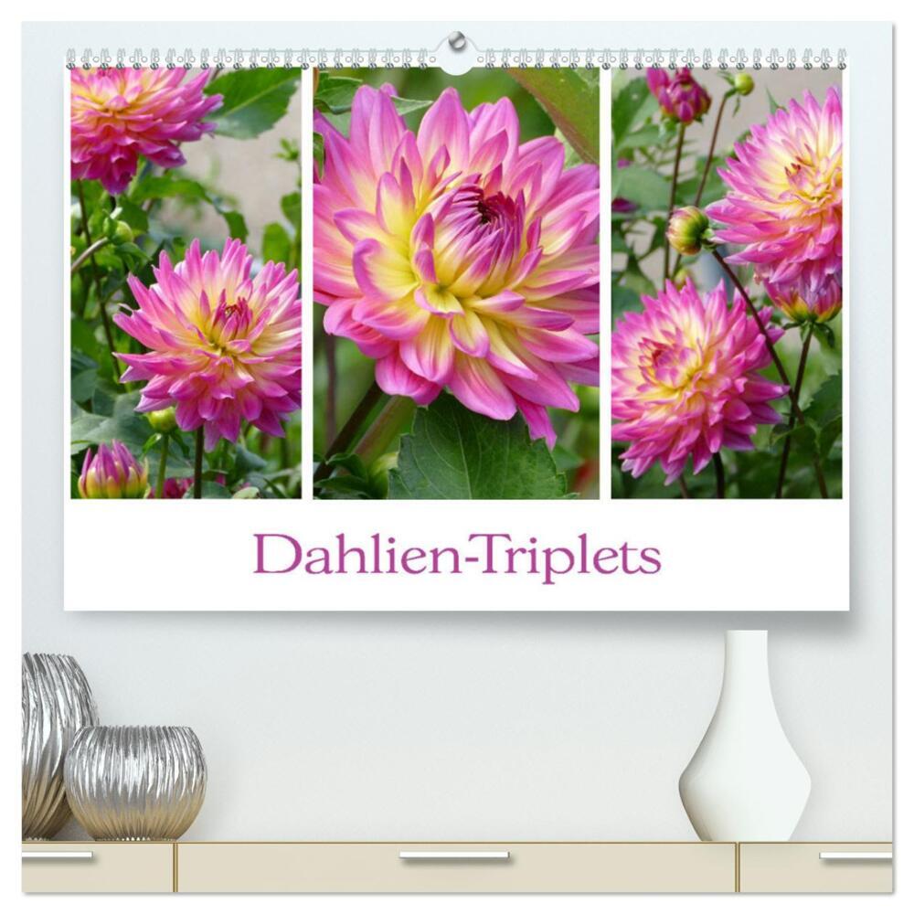 Dahlien-Triplets (hochwertiger Premium Wandkalender 2024 DIN A2 quer), Kunstdruck in Hochglanz