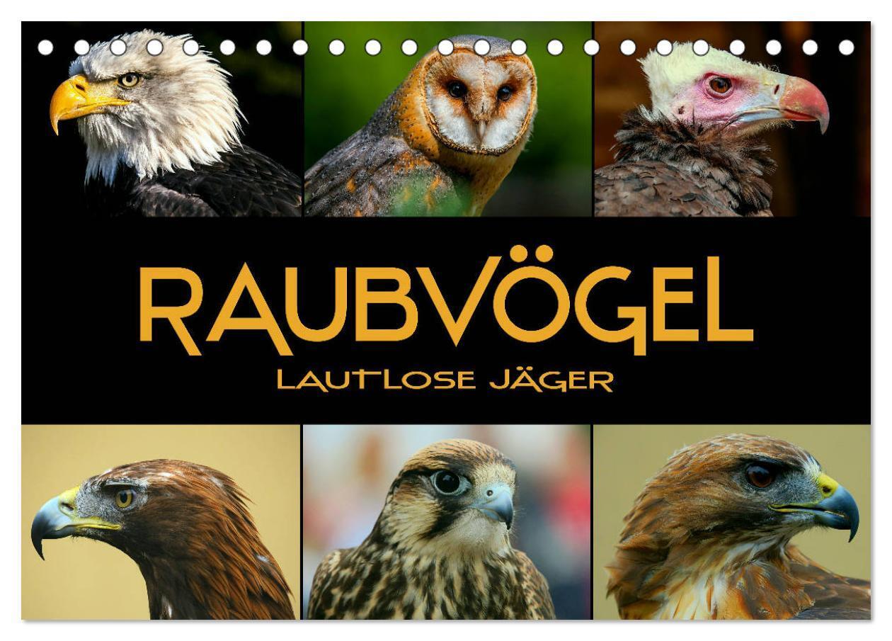 Raubvögel - lautlose Jäger (Tischkalender 2024 DIN A5 quer), CALVENDO Monatskalender