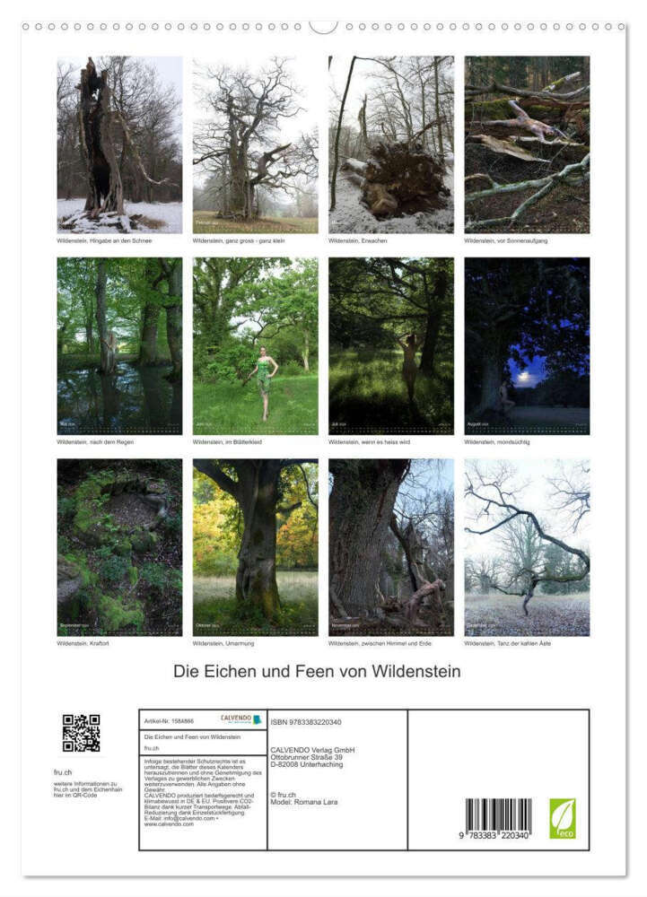 Die Eichen und Feen von Wildenstein (hochwertiger Premium Wandkalender 2024 DIN A2 hoch), Kunstdruck in Hochglanz