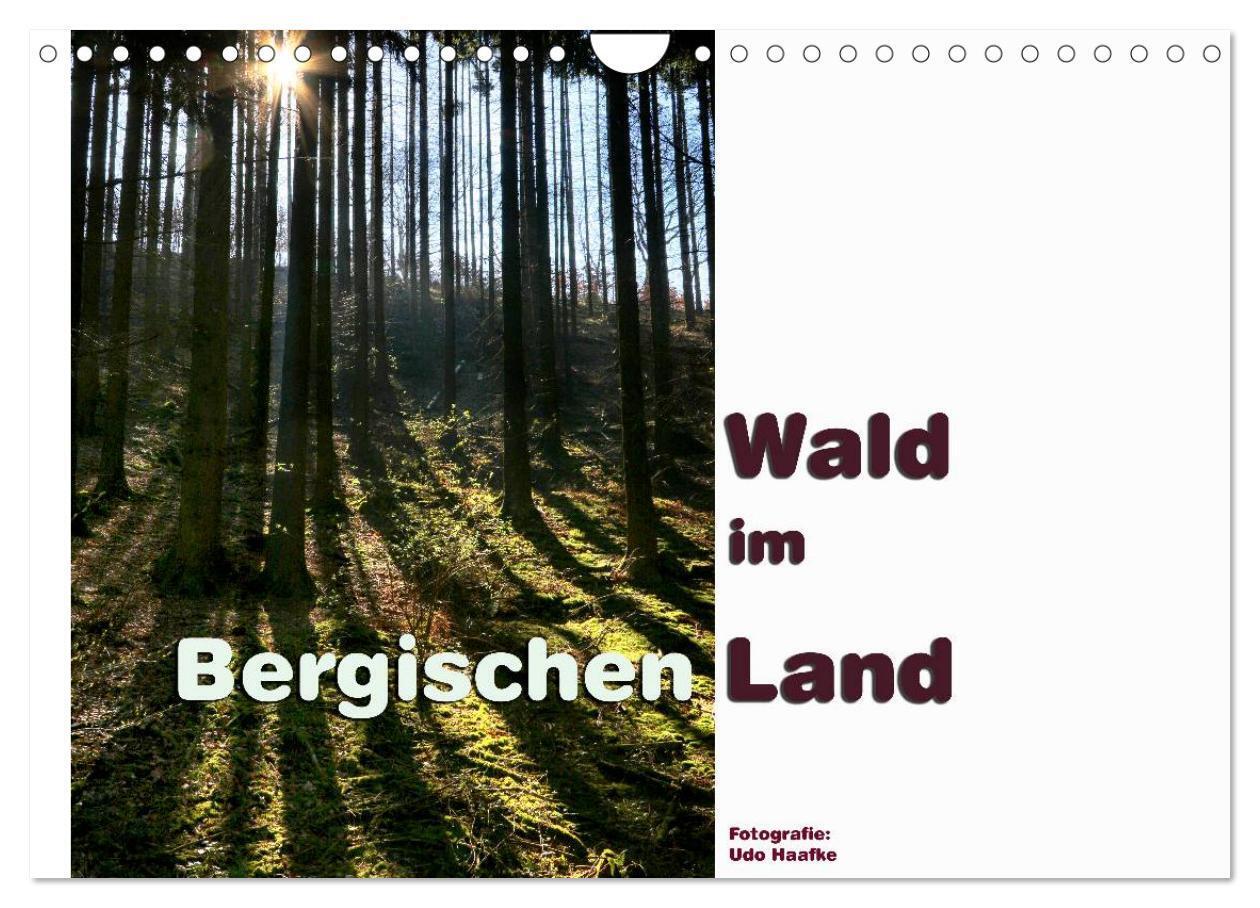 Wald im Bergischen Land 2024 (Wandkalender 2024 DIN A4 quer), CALVENDO Monatskalender