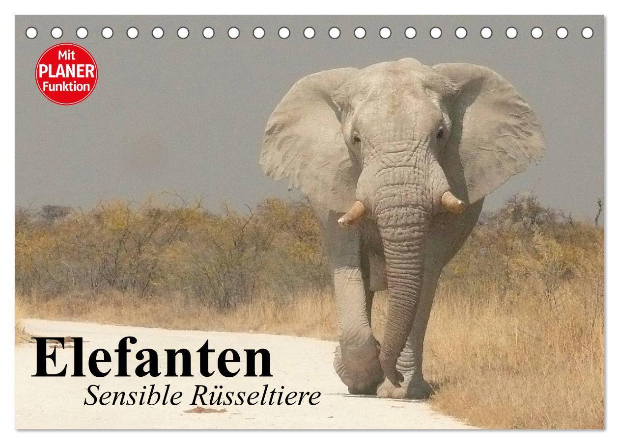 Elefanten. Sensible Rüsseltiere (Tischkalender 2024 DIN A5 quer), CALVENDO Monatskalender
