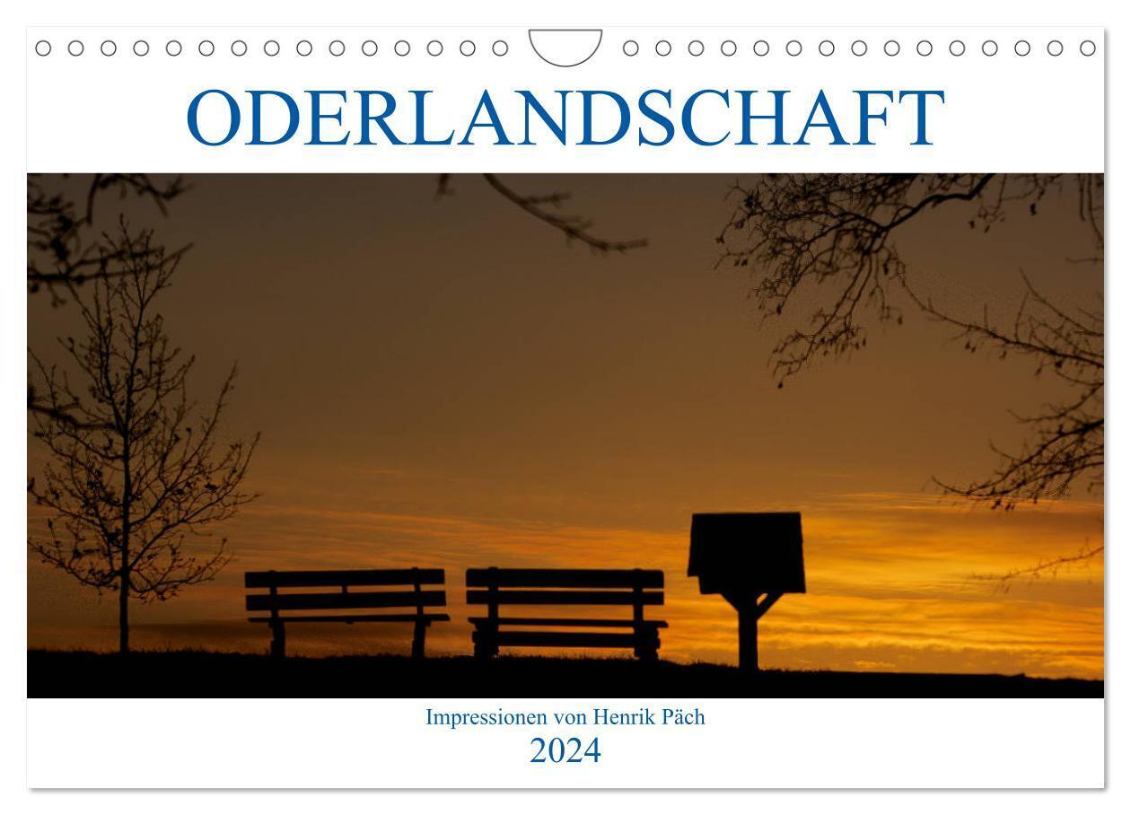 Oderlandschaft (Wandkalender 2024 DIN A4 quer), CALVENDO Monatskalender