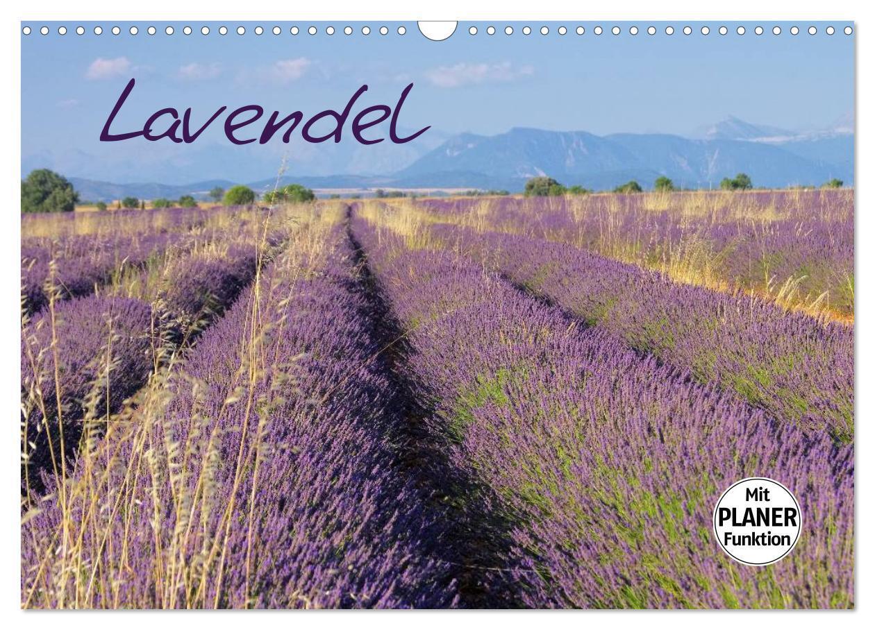 Lavendel (Wandkalender 2024 DIN A3 quer), CALVENDO Monatskalender