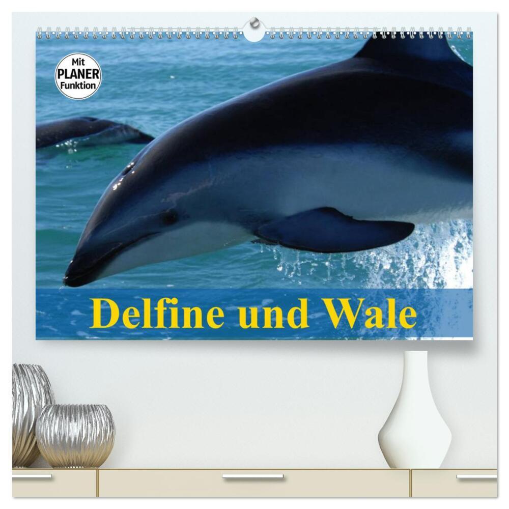 Delfine und Wale (hochwertiger Premium Wandkalender 2024 DIN A2 quer), Kunstdruck in Hochglanz