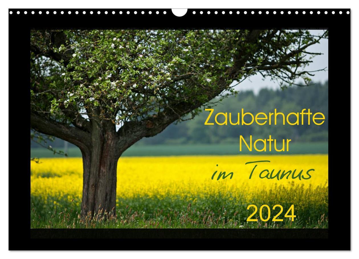 Zauberhafte Natur im Taunus (Wandkalender 2024 DIN A3 quer), CALVENDO Monatskalender