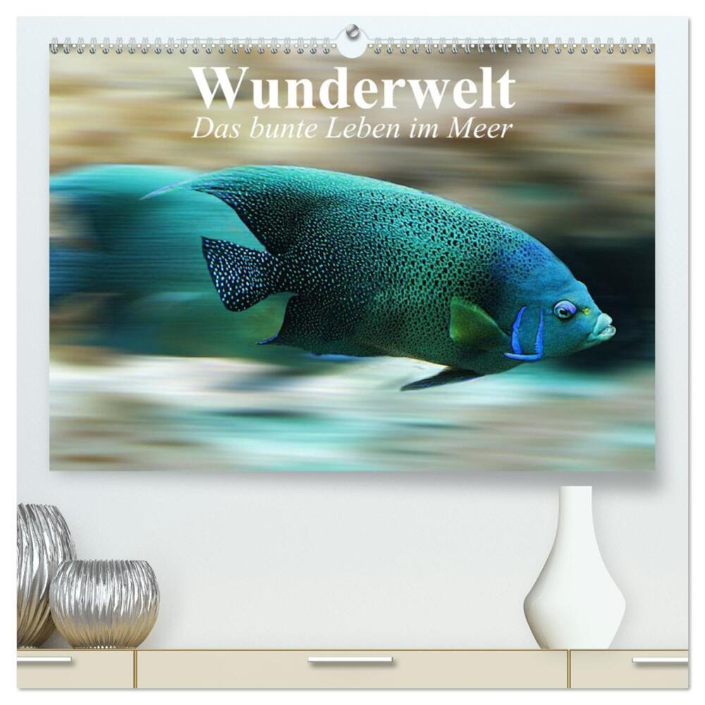 Wunderwelt. Das bunte Leben im Meer (hochwertiger Premium Wandkalender 2024 DIN A2 quer), Kunstdruck in Hochglanz