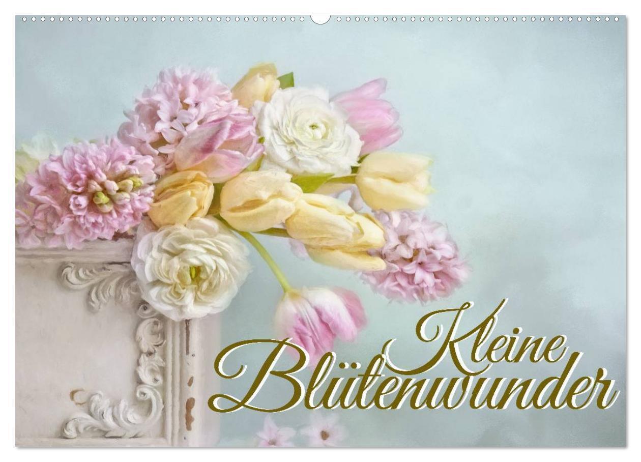 Kleine Blütenwunder (Wandkalender 2024 DIN A2 quer), CALVENDO Monatskalender