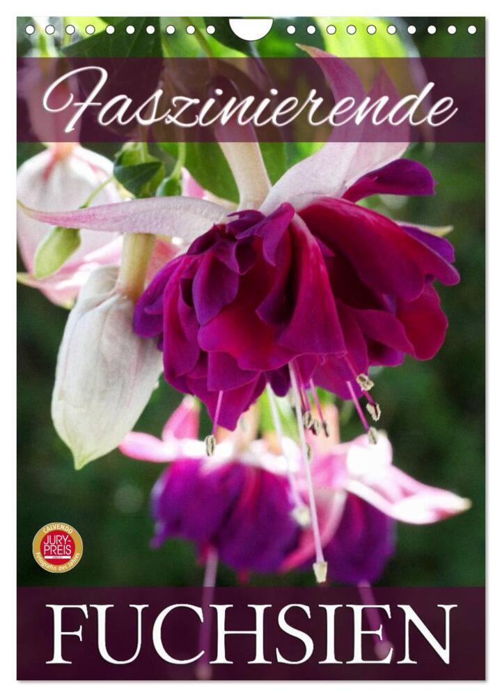 Faszinierende Fuchsien (Wandkalender 2024 DIN A4 hoch), CALVENDO Monatskalender