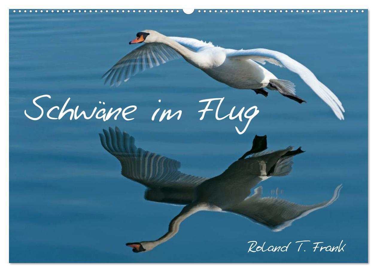 Schwäne im Flug (Wandkalender 2024 DIN A2 quer), CALVENDO Monatskalender
