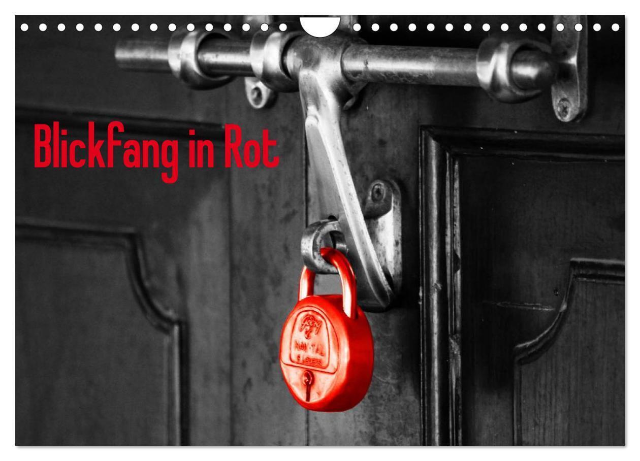 Blickfang in Rot (Wandkalender 2024 DIN A4 quer), CALVENDO Monatskalender