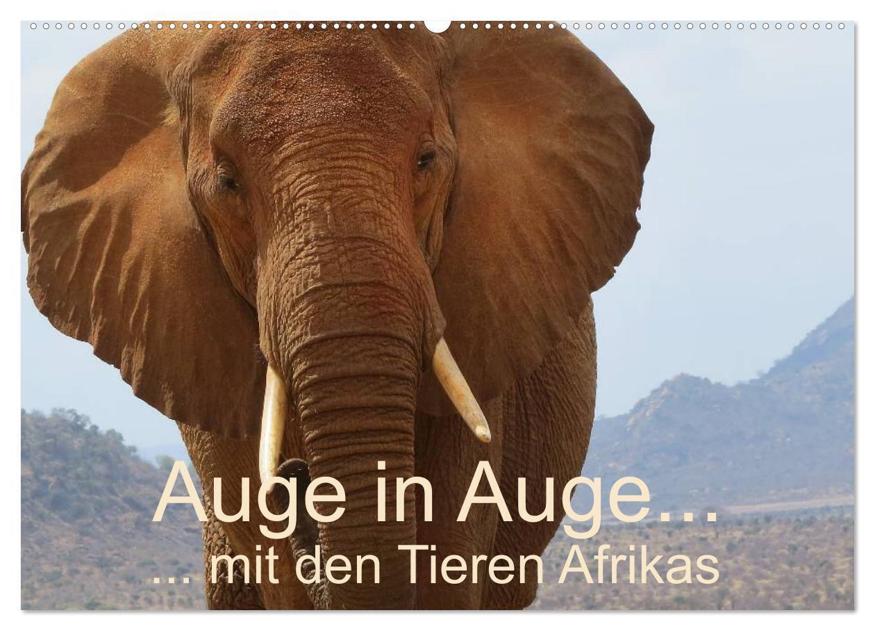 Auge in Auge mit den Tieren Afrikas (Wandkalender 2024 DIN A2 quer), CALVENDO Monatskalender