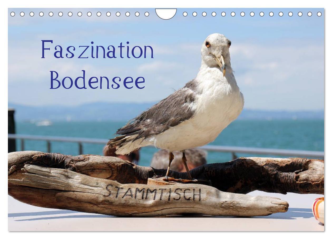 Faszination Bodensee (Wandkalender 2024 DIN A4 quer), CALVENDO Monatskalender