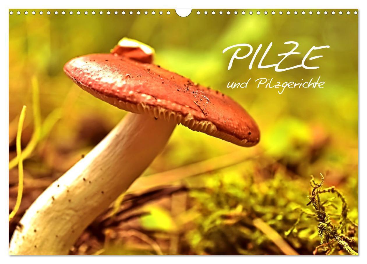 Pilze und Pilzgerichte (Wandkalender 2024 DIN A3 quer), CALVENDO Monatskalender