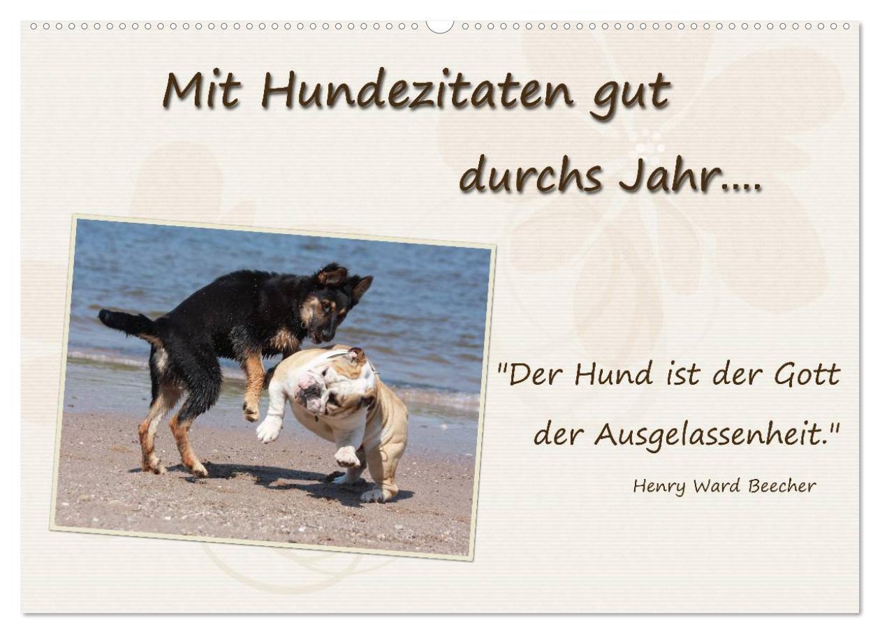 Mit Hundezitaten gut durchs Jahr (Wandkalender 2024 DIN A2 quer), CALVENDO Monatskalender