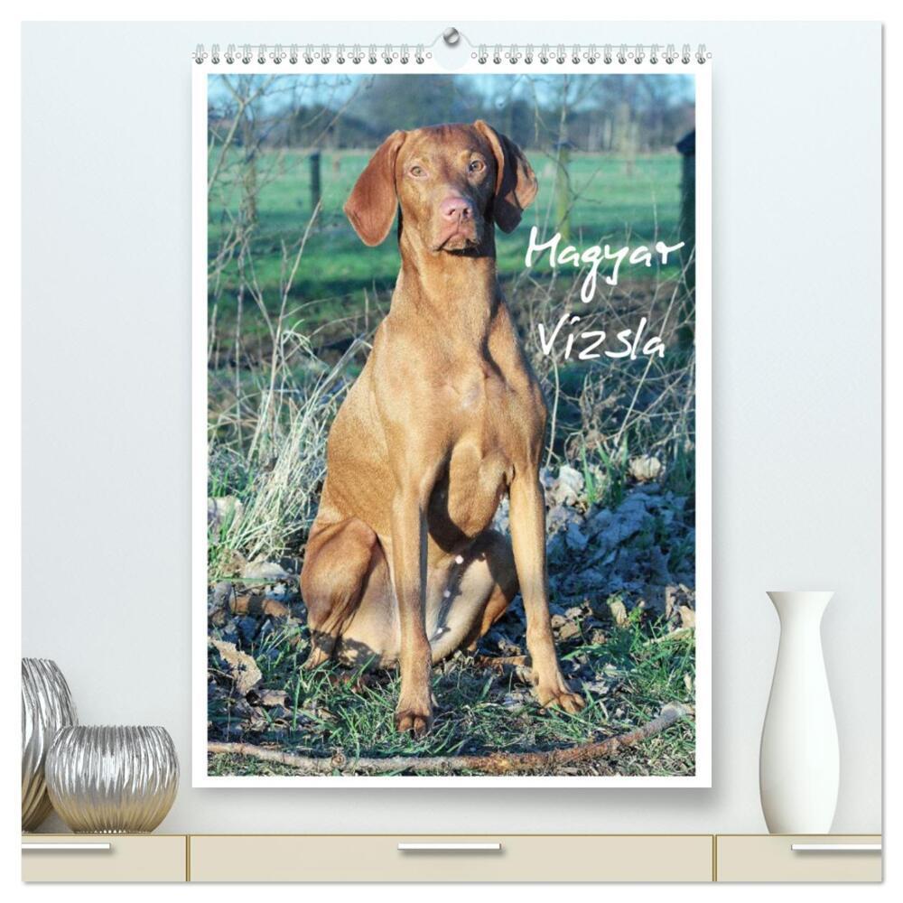 Magyar Vizsla (hochwertiger Premium Wandkalender 2024 DIN A2 hoch), Kunstdruck in Hochglanz