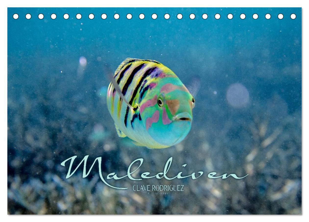 Unterwasserwelt der Malediven II (Tischkalender 2024 DIN A5 quer), CALVENDO Monatskalender