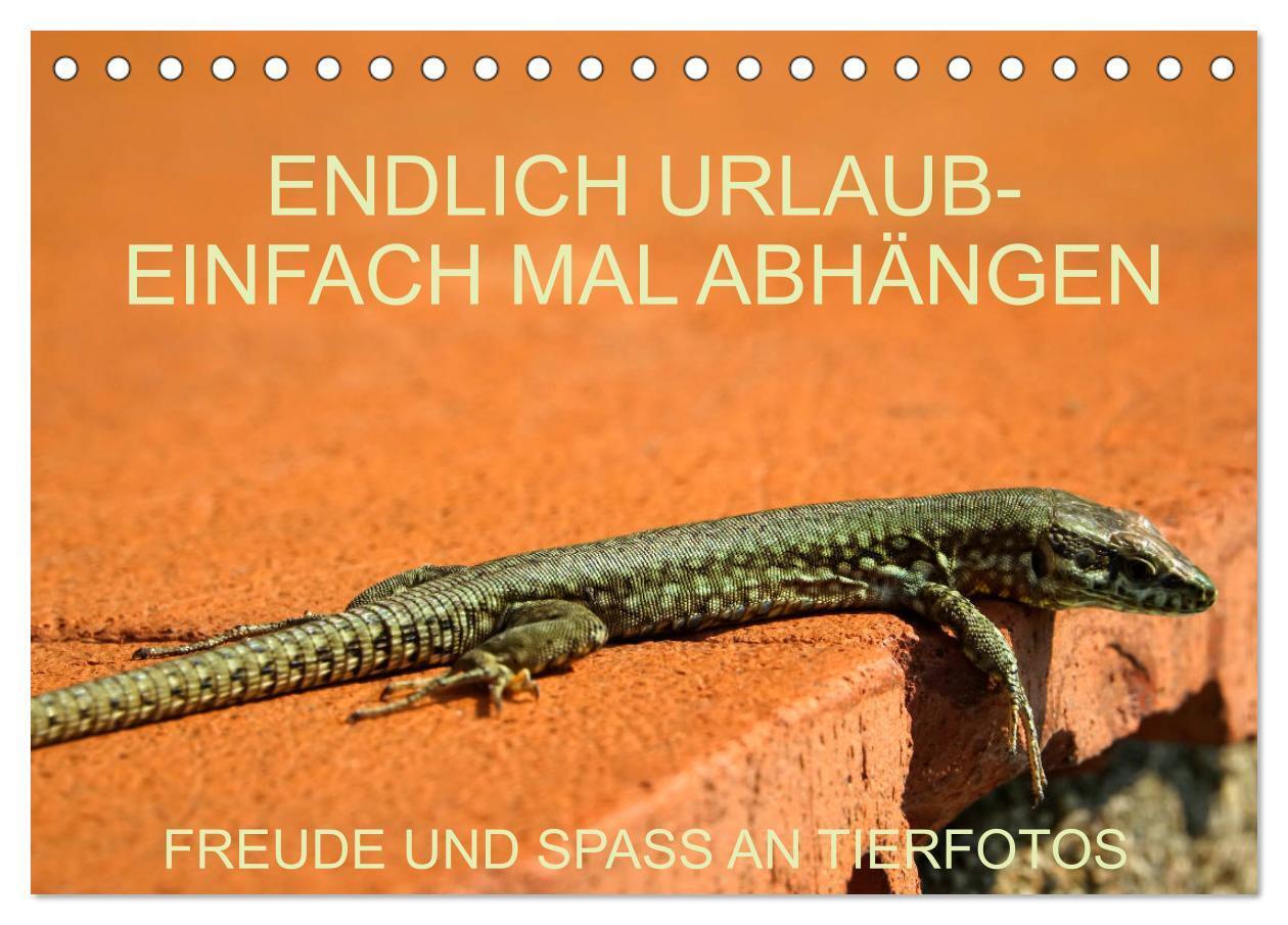 Freude und Spaß an Tierfotos (Tischkalender 2024 DIN A5 quer), CALVENDO Monatskalender