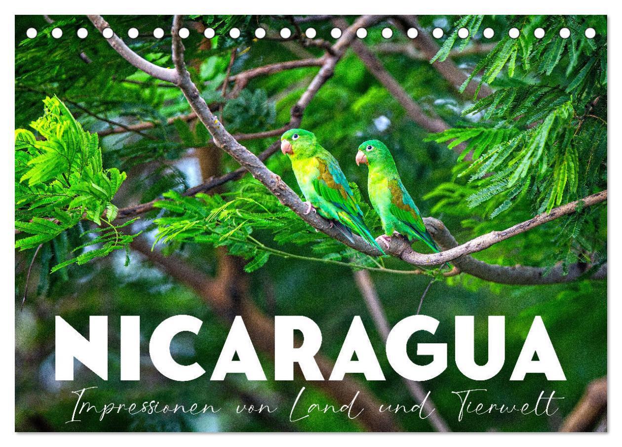 Nicaragua - Impressionen von Land und Tierwelt. (Tischkalender 2024 DIN A5 quer), CALVENDO Monatskalender