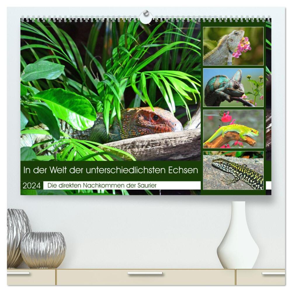 In der Welt der unterschiedlichsten Echsen (hochwertiger Premium Wandkalender 2024 DIN A2 quer), Kunstdruck in Hochglanz