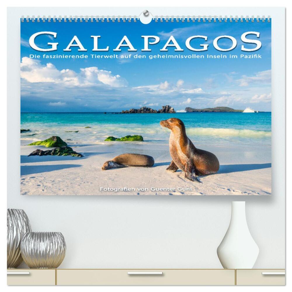 Die faszinierende Tierwelt der Galapagos-Inseln (hochwertiger Premium Wandkalender 2024 DIN A2 quer), Kunstdruck in Hochglanz
