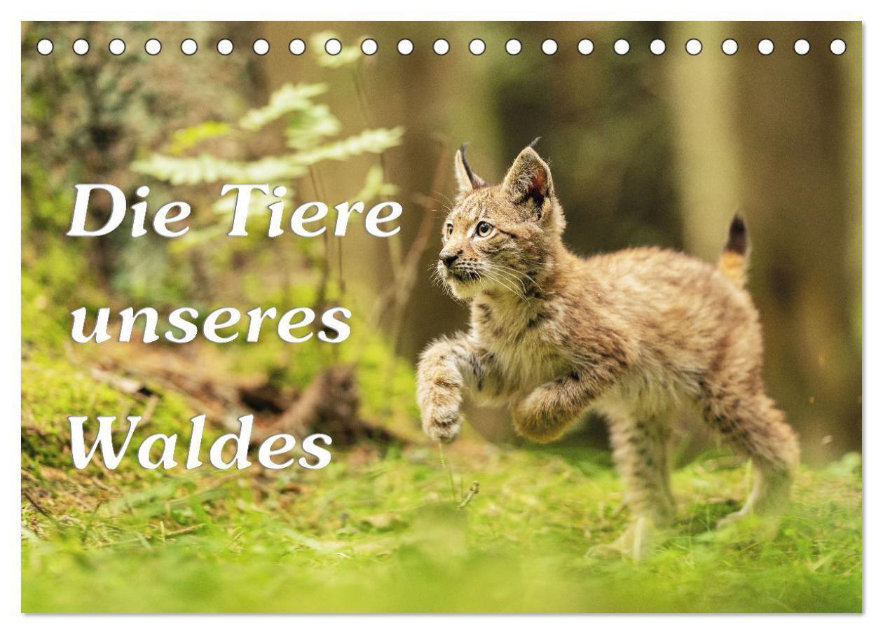 Die Tiere unseres Waldes (Tischkalender 2024 DIN A5 quer), CALVENDO Monatskalender