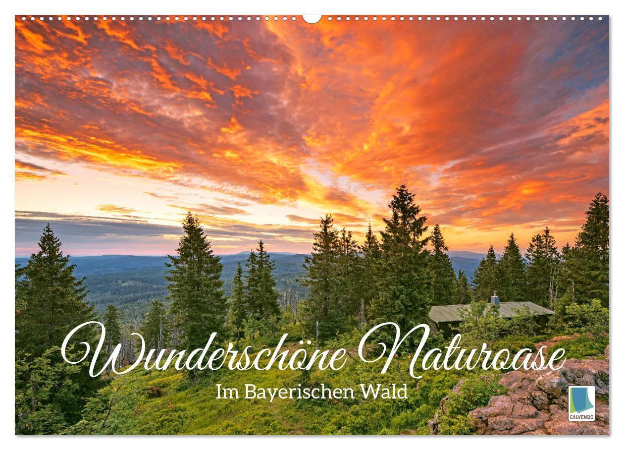 Wunderschöne Naturoase: Im Bayerischen Wald (Wandkalender 2024 DIN A2 quer), CALVENDO Monatskalender