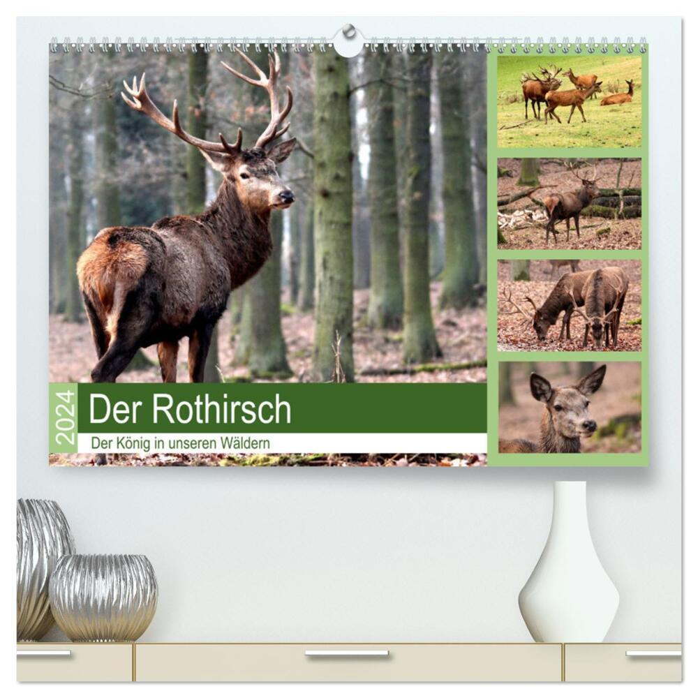 Der Rothirsch - Der König in unseren Wäldern (hochwertiger Premium Wandkalender 2024 DIN A2 quer), Kunstdruck in Hochglanz