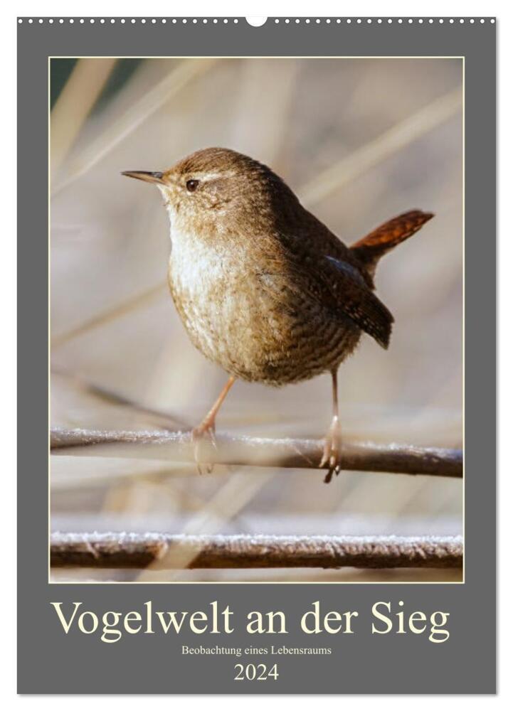 Vogelwelt an der Sieg (Wandkalender 2024 DIN A2 hoch), CALVENDO Monatskalender
