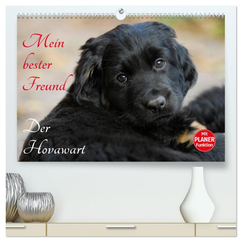Mein bester Freund - Der Hovawart (hochwertiger Premium Wandkalender 2024 DIN A2 quer), Kunstdruck in Hochglanz