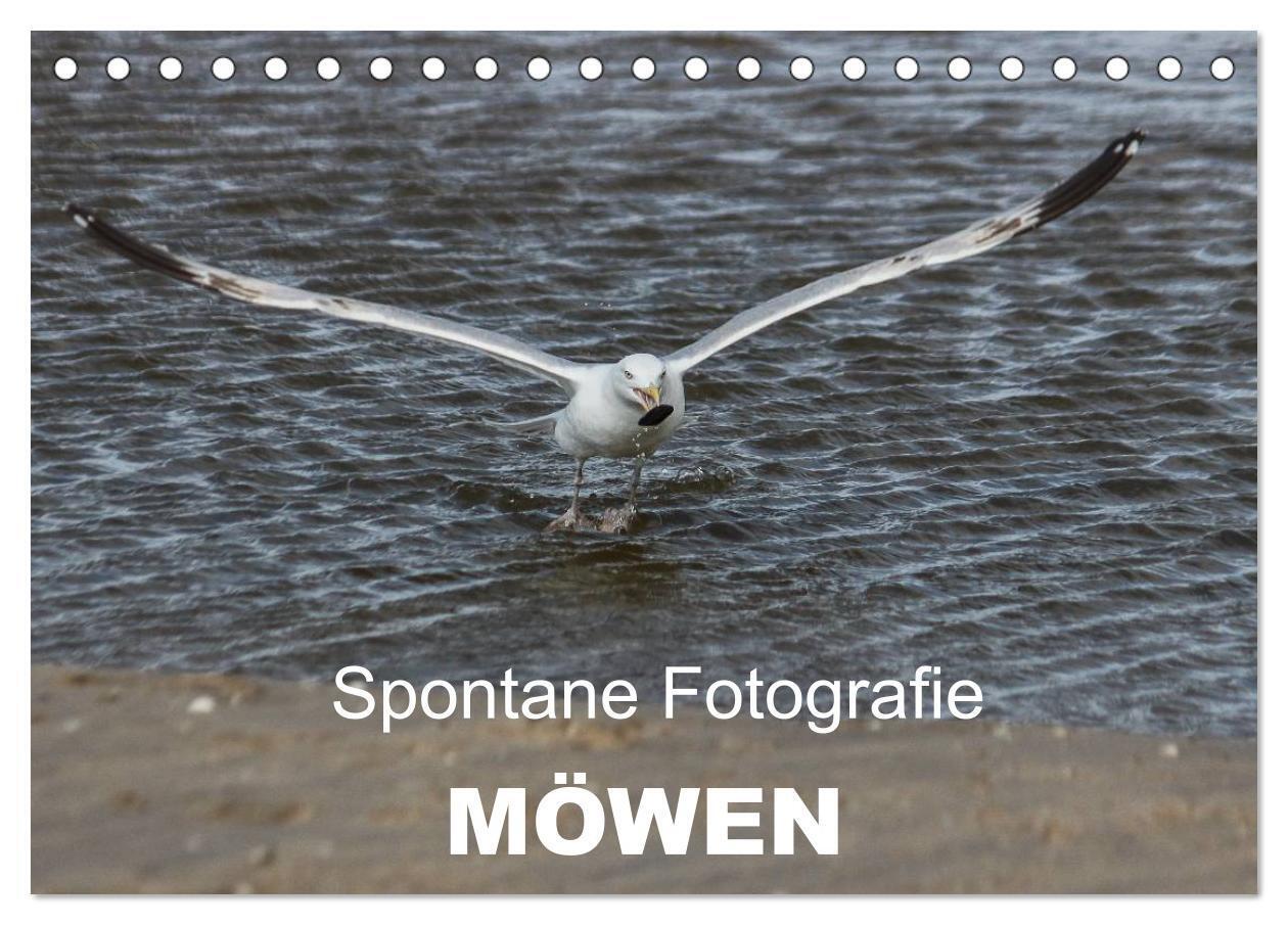 Spontane Fotografie - Möwen (Tischkalender 2024 DIN A5 quer), CALVENDO Monatskalender