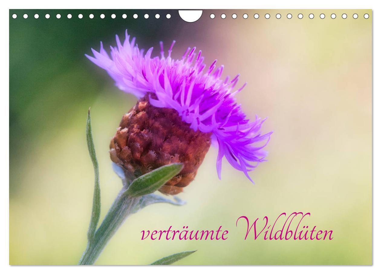 verträumte Wildblüten (Wandkalender 2024 DIN A4 quer), CALVENDO Monatskalender